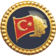 Türk Bayrağı Rozeti 5